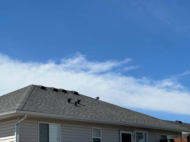 Best Slate Roofing  in Estill Springs, TN